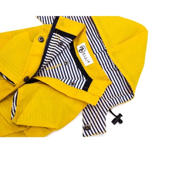 🌼 - Picture 4 of 5